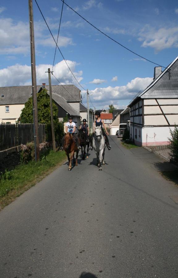 Pferd - Spass - Entspannung Staitz Экстерьер фото